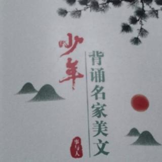 《陀螺》高洪波