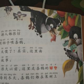 《感恩的喜鹊》