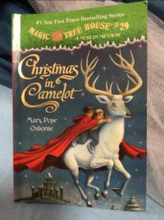 Christmas in Camelot1
