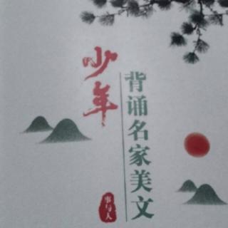 《踢毽子》汪曾祺