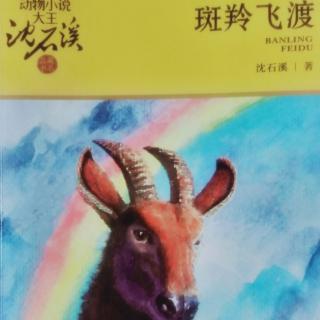 《斑羚飞渡》