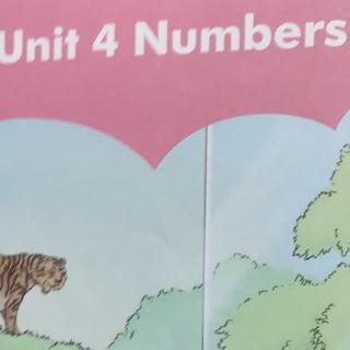 unit4英语上册