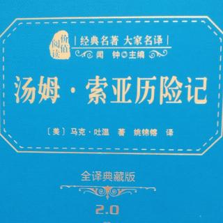 《汤姆·索亚历险记》第五章 铁甲虫大闹祈祷会（来自FM192466282）