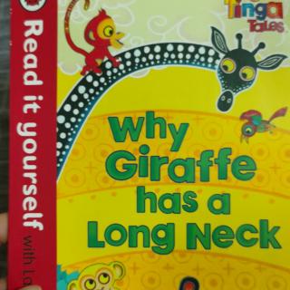 Why Giraffe has a Long Neck