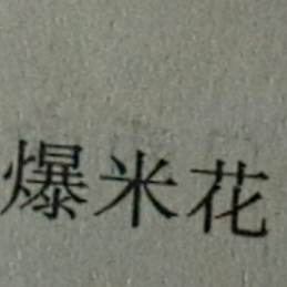 读《骆驼祥子》