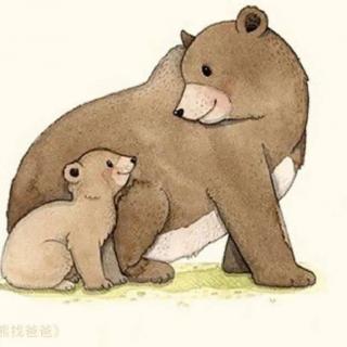 小熊找爸爸