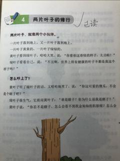 两片叶子的修行