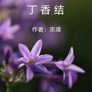 《丁香结》宗   璞