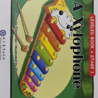 A Xylophone