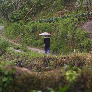 【读诗】张文武：《暴雨来临时》《野猫》