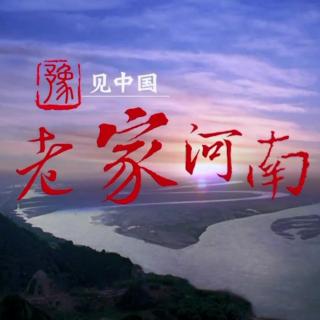 《我的河南》碑林路人