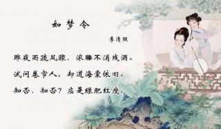 《如梦令》宋.李清照