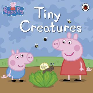 文森小朋友的英文故事1《Tiny creatures》