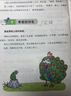 青蛙的羽毛🐸