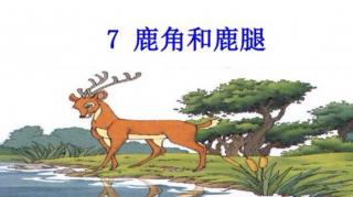 7《鹿角和鹿腿》