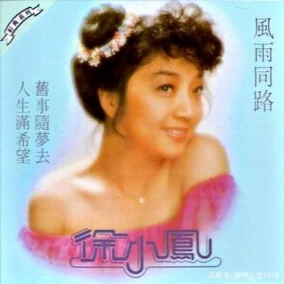 香港十大中文金曲（1978）-風雨同路