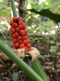 衣着无声胜有声----非语言行为