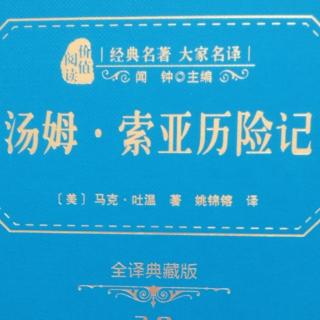 《汤姆·索亚历险记》第八章（来自FM192466282）