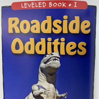 RAZ LevelI 506 - Roadside Oddities