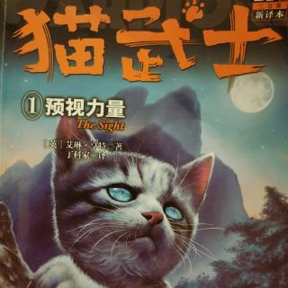 《猫武士三部曲》1预视力量_第八章