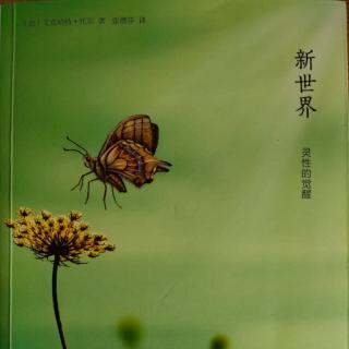 19.第四章:（5）病态的小我