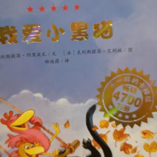 我爱小黑猫（下）