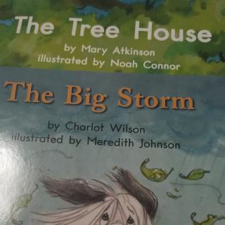 The Tree House   The Big Storm