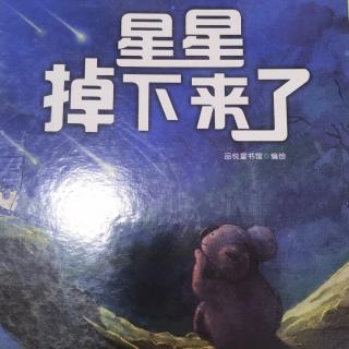 《星星掉下来了》