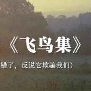 《永恒的爱情》泰戈尔 诵读：收获的季节