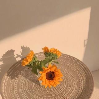 做永远的的向日葵花束 - 完美小豆