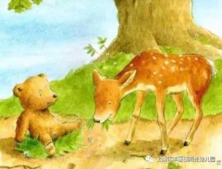 幼专附属幼儿园王老师讲故事—《小熊和小鹿》