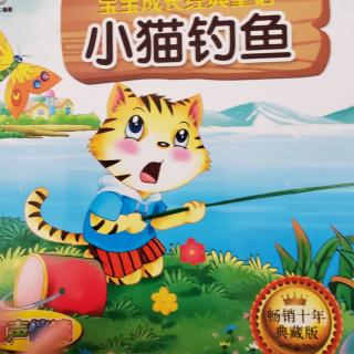 小猫钓鱼