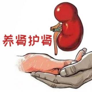 《养肾护肾专题》_肾脏养护三部曲