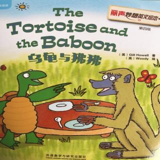 The Tortoise and the Baboon