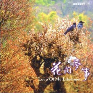 D033-2003年《花间梦事》专辑-花间梦事