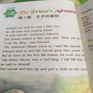 杨砚喜读《王子的冒险》