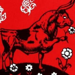 【艾玛读绘本】爱花的牛
