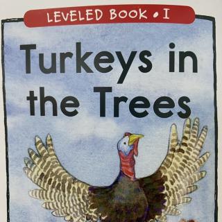 RAZ LevelI 603 - Turkeys In the Trees