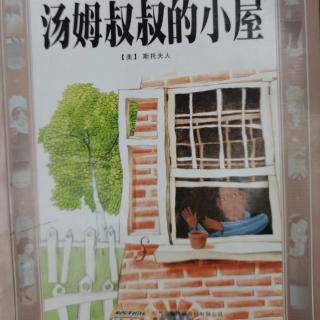 《汤姆叔叔的小屋》第二十八章  作者:斯托夫人 陈海珠 改写