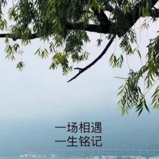 《那是今生最美的相遇》作者：赵亚军