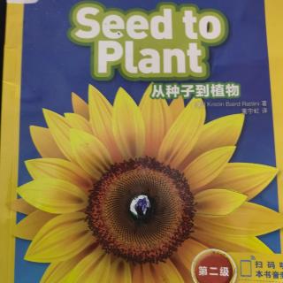 Seed to Plant