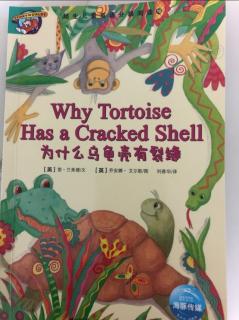 why tortoise has a cracked shell8.9(1)