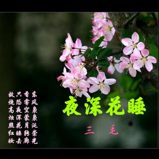 《夜深花睡》三毛