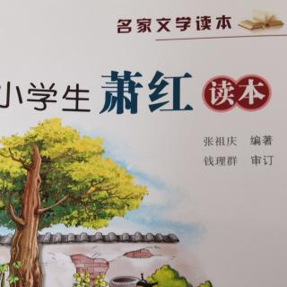 小学生萧红读本—远方是什么