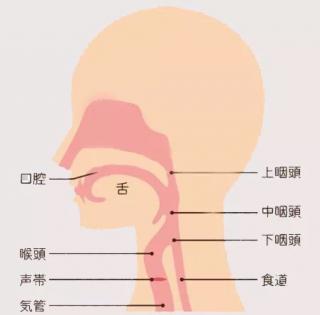 百科解答 | 为什么男生有喉结，女生没有？