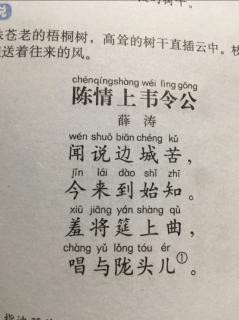 陈情上韦令公 唐 薛涛