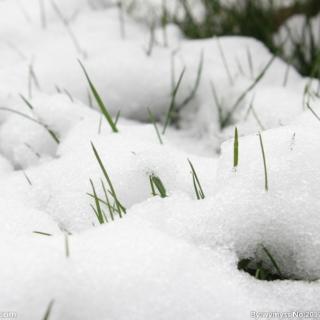 《雪》
艾基