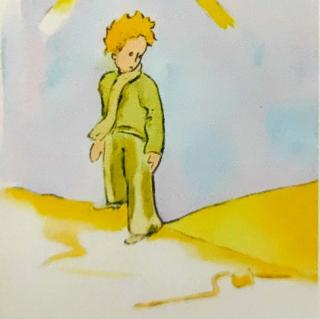The Little Prince - Chapter 17