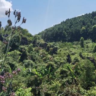 《晨曦放歌》外一首北国风光主播新