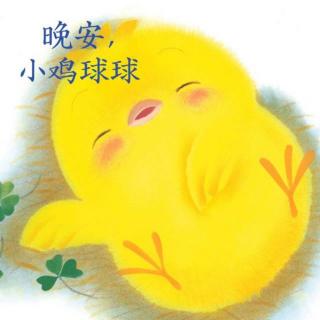 《晚安，小鸡球球🐥》